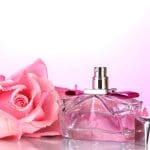 Perfume bottle and pink rose on pink