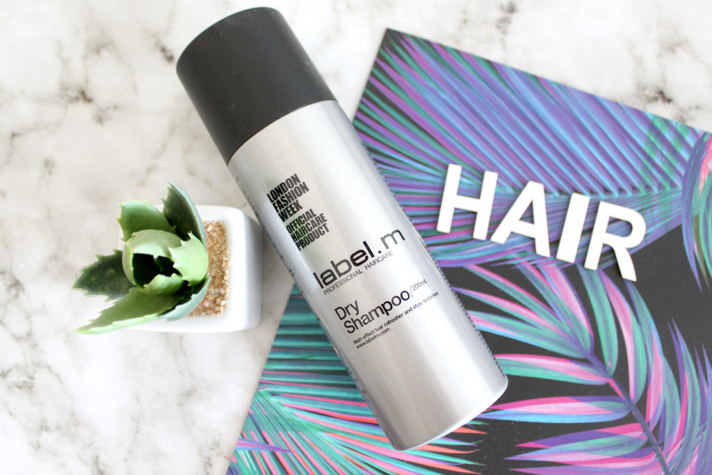 Best Dry Shampoos on the Market - My Hair Care Blog