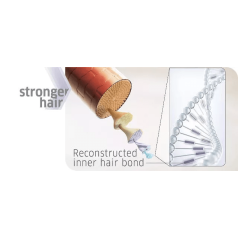 Color Motion+ Structure Mask 150ml