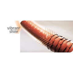 Color Motion+ Shampoo 250ml