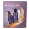 Theorie Purple Sage Brightest Brilliant Blonde Pack