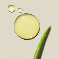 Clean Beauty Everyday Shampoo 250ml