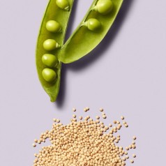 Clean Beauty Repair Shampoo 250ml