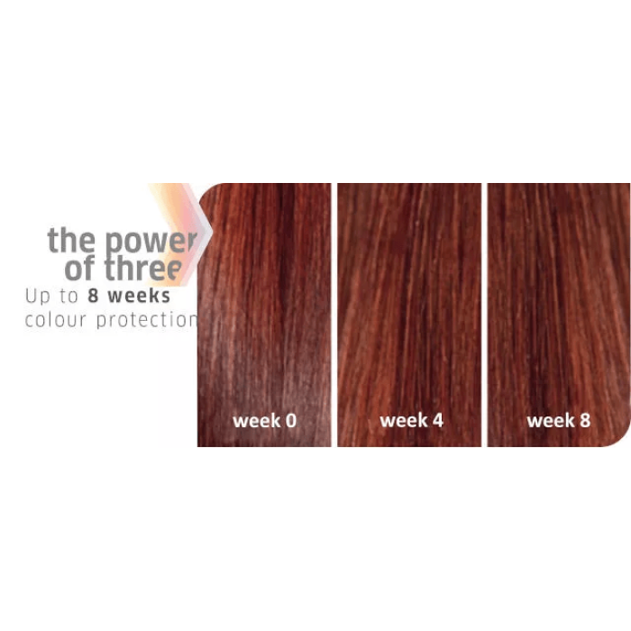 Wella Professionals Color Motion+ Structure Mask