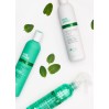 Milkshake Sensorial Mint Shampoo