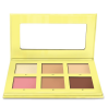 Napoleon Perdis Virtual Flesh Coordinator Engineering Shadow Palette