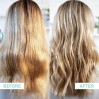 Pureology Strength Cure Best Blonde Shampoo