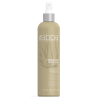 Abba Preserving Blow Dry Spray