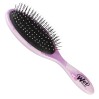 Wet Brush Watercolor Detangling Hair Brush