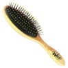 Wet Brush Watercolor Detangling Hair Brush