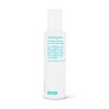 Evo Whip It Good Styling Mousse