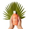 Wedo Moisture & Shine Shampoo Wedo Moisture & Shine Shampoo