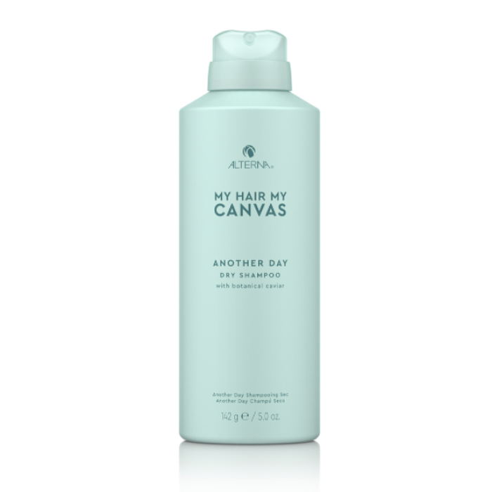 Alterna My Hair My Canvas Another Day Dry Shampoo