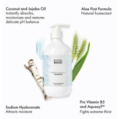 Heavenly Hydration Shampoo 500ml