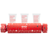 Evo Ho Ho Ho Bon Bons - Repair