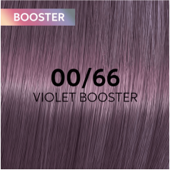 Shinefinity Zero Lift Glaze (Demi-Permanent) 00/66 Violet Booster