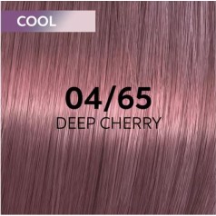 Shinefinity Zero Lift Glaze (Demi-Permanent) 04/65 Deep Cherry (Medium Brown Violet Mahogany)