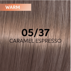 Shinefinity Zero Lift Glaze (Demi-Permanent) 05/37 Caramel Espresso (Light Brown Gold Brown)
