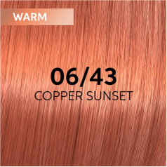 Shinefinity Zero Lift Glaze (Demi-Permanent) 06/43 Copper Sunset (Dark Blonde Red Gold)