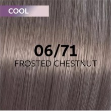 Shinefinity Zero Lift Glaze (Demi-Permanent)
