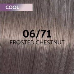 Shinefinity Zero Lift Glaze (Demi-Permanent) 06/71 Frosted Chestnut (Dark Blonde Brown Ash)