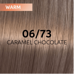 Shinefinity Zero Lift Glaze (Demi-Permanent) 06/73 Caramel Chocolate (Dark Blonde Brown Gold)