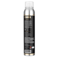 The Absolute Dry Shampoo 132g
