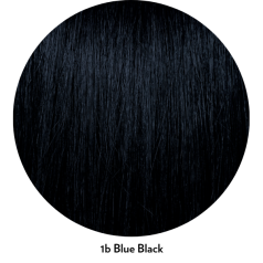 ChromaSilk HydraGloss 1B Blue Black
