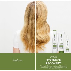 Biolage Strength Recovery Deep Treatment Pack 100ml