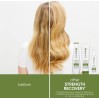 Matrix Strength Recovery Deep Treatment Pack