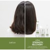 Matrix Strength Recovery Shampoo