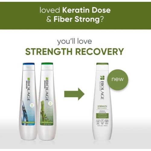 Matrix Strength Recovery Shampoo