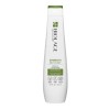 Matrix Strength Recovery Shampoo