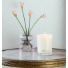 Ecoya Madison Candle in Sweet Pea & Jasmine