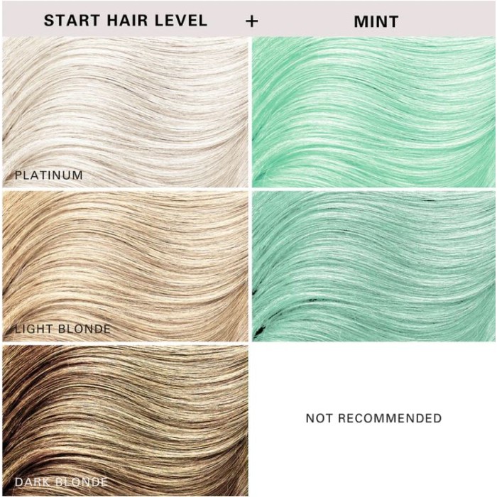 Keracolor Color Clenditioner Colour Shampoo Mint