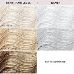 Color Clenditioner Colour Shampoo Silver 355ml