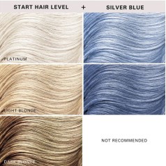 Color Clenditioner Colour Shampoo Silver Blue 355ml