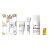 Olaplex Smooth Your Style Hair Kit