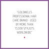 Goldwell Dualsenses Blondes & Highlights Anti-Brassiness Shampoo