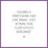 Goldwell Dualsenses Blondes & Highlights Anti-Brassiness Conditioner