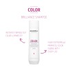 Goldwell Dualsenses Color Shampoo