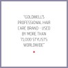 Goldwell Dualsenses Just Smooth Taming Shampoo