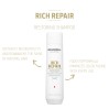 Goldwell Dualsenses Rich Repair Shampoo