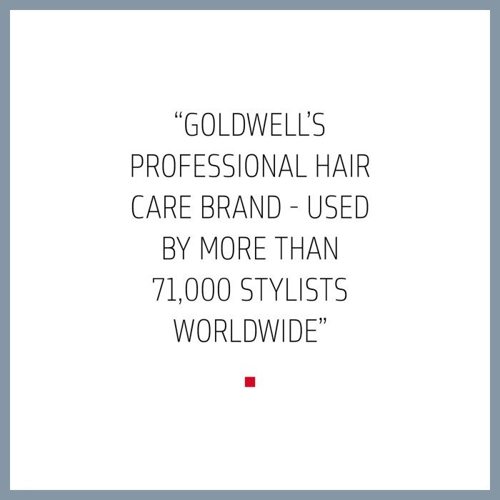Goldwell Dualsenses Ultra Volume Bodifying Dry Shampoo