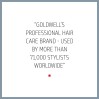 Goldwell Dualsenses Ultra Volume Bodifying Dry Shampoo