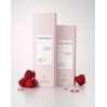 Kerasilk Color Protecting Shampoo & Conditioner Duo