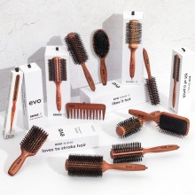 Evo Brushes