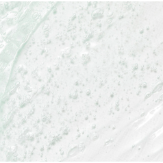 Green Plum Refreshing Cleanser 100ml