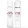Goldwell Dualsenses Color Extra Rich Shampoo & Conditioner Duo Gift Set 