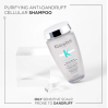 Kerastase Symbiose Pureté Anti-Dandruff Shampoo for Oily Scalp
